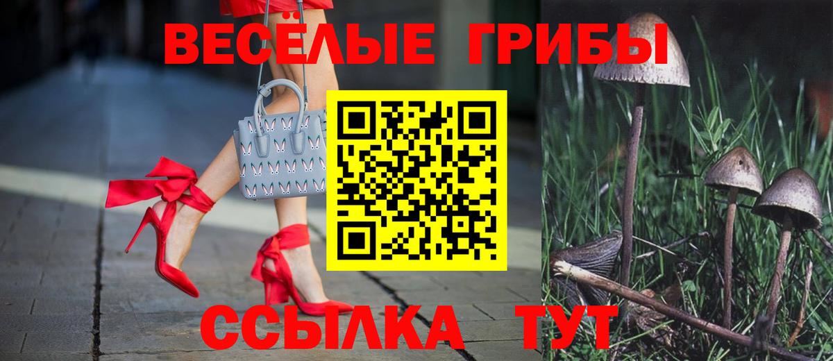 Альметьевск  Псилоцибиновые грибы MAGIC MUSHROOMS  закладки  Вход с VPN 