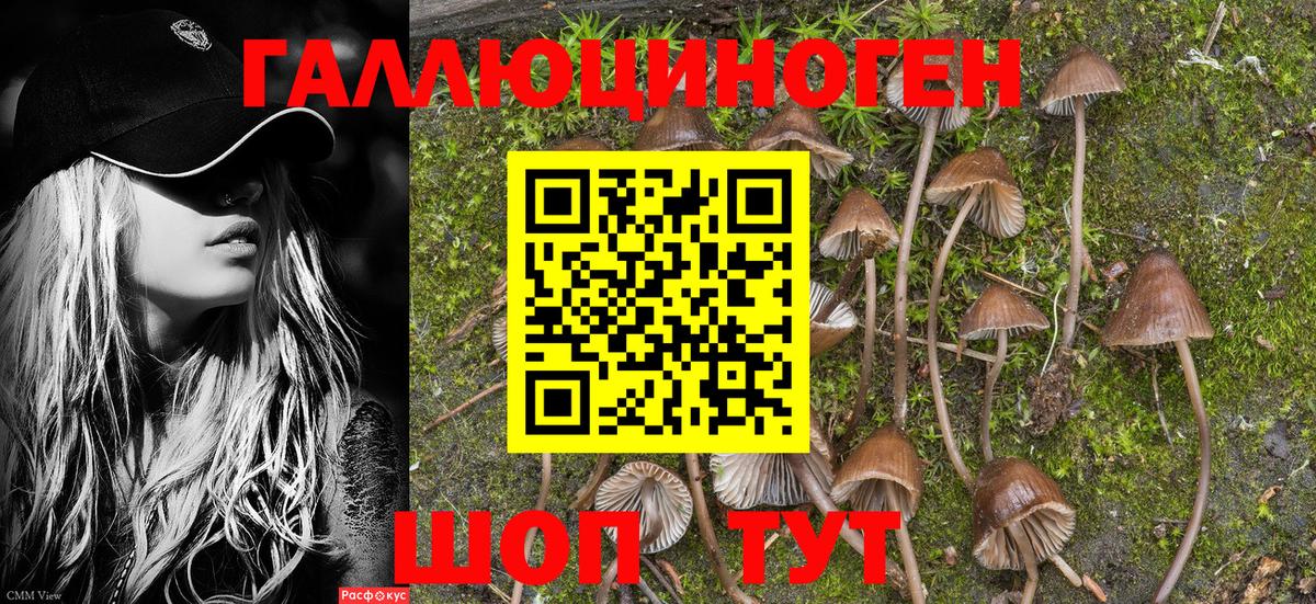 Псилоцибиновые грибы мухоморы Альметьевск